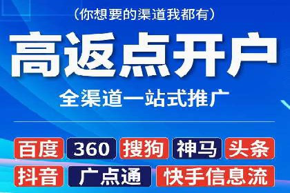 行业领先企业的网络推广与竞价经验
